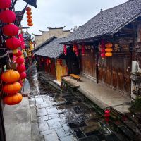 評論圖片 7
