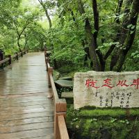 評論圖片 5