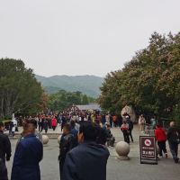 評論圖片 1