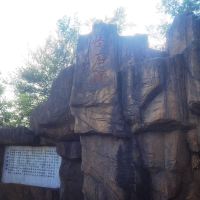 評論圖片 1