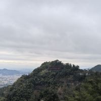 評論圖片 1