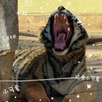 評論圖片 4