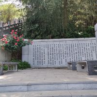 評論圖片 6