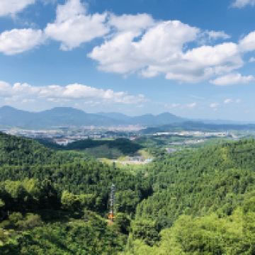 評論圖片 8