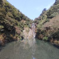 評論圖片 1