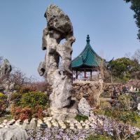 評論圖片 5