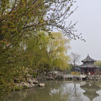 評論圖片 2