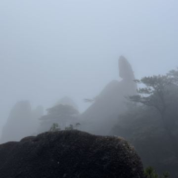 評論圖片 8