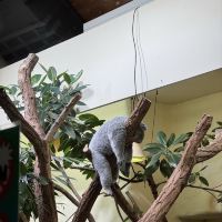 評論圖片 4