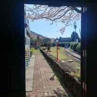 評論圖片 6