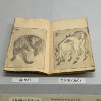 評論圖片 5
