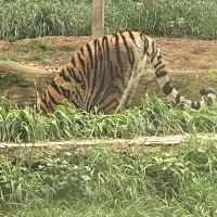 評論圖片 4