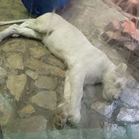 評論圖片 2