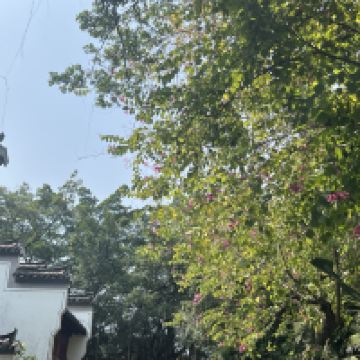 評論圖片 8