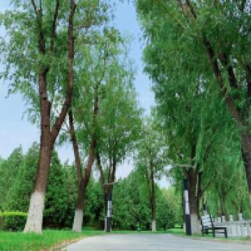 評論圖片 7