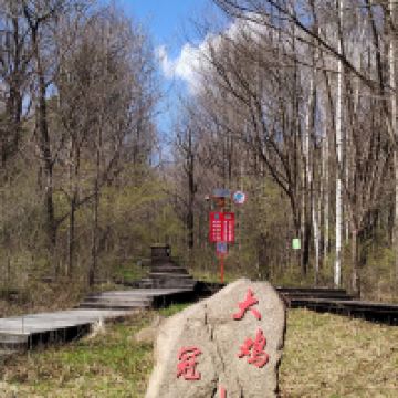 評論圖片 1