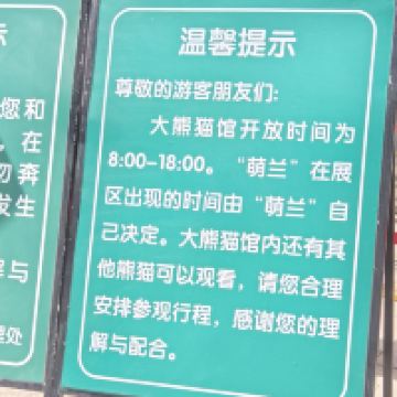 評論圖片 8