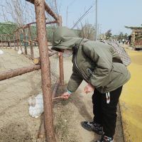 評論圖片 1