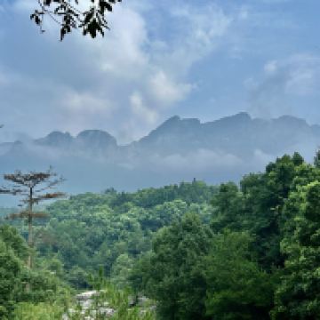 評論圖片 5