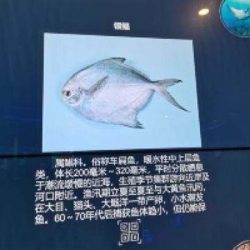 評論圖片 1