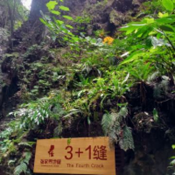 評論圖片 2