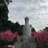 評論圖片 6