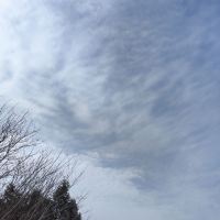 評論圖片 5
