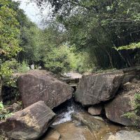 評論圖片 1