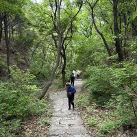 評論圖片 8