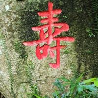 評論圖片 4
