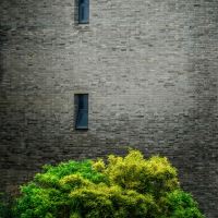 評論圖片 1