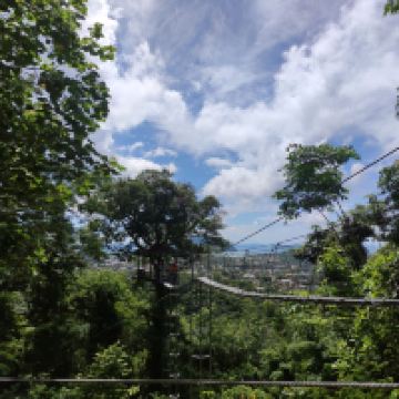 評論圖片 4
