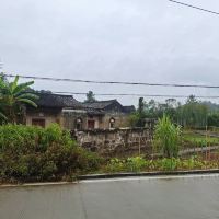 評論圖片 3