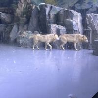 評論圖片 7