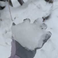 評論圖片 6
