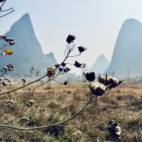 評論圖片 8