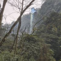 評論圖片 5