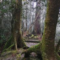 評論圖片 1
