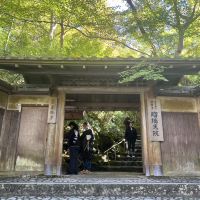 評論圖片 1