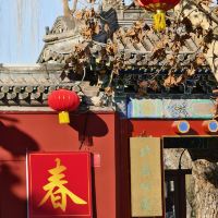 評論圖片 1