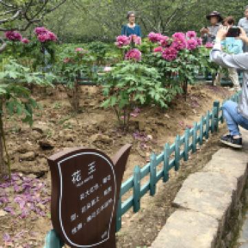 評論圖片 5