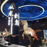 評論圖片 9