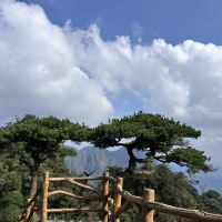評論圖片 4