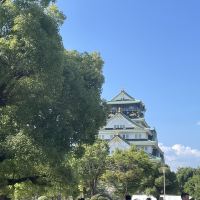 評論圖片 5