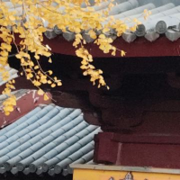 評論圖片 2
