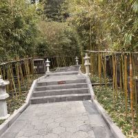 評論圖片 5