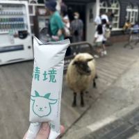 評論圖片 1
