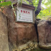 評論圖片 3