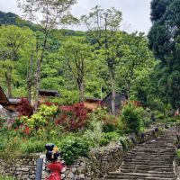 評論圖片 5