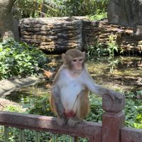 評論圖片 2